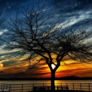 Enigmatic nature