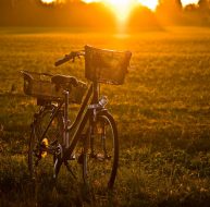 Portfolio image gallery