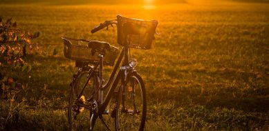 Portfolio image gallery