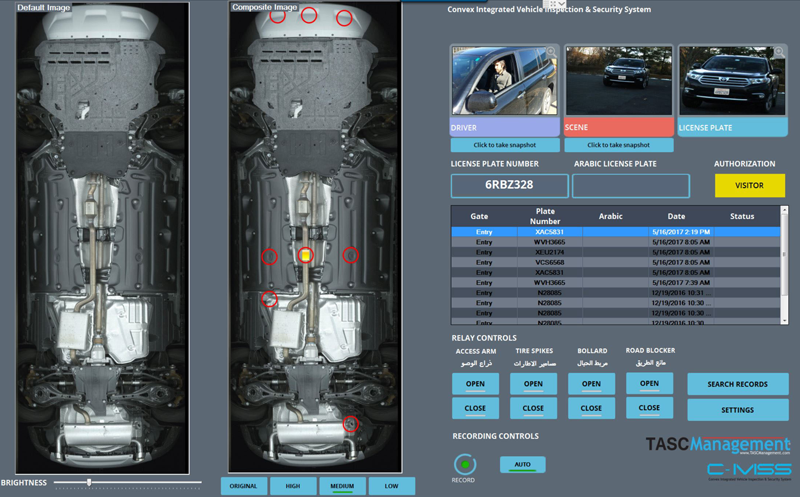 IVISS - Stitched Composite Image with Zoom & Raw Video Frames